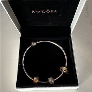 Pandora Classic Silver Bracelet